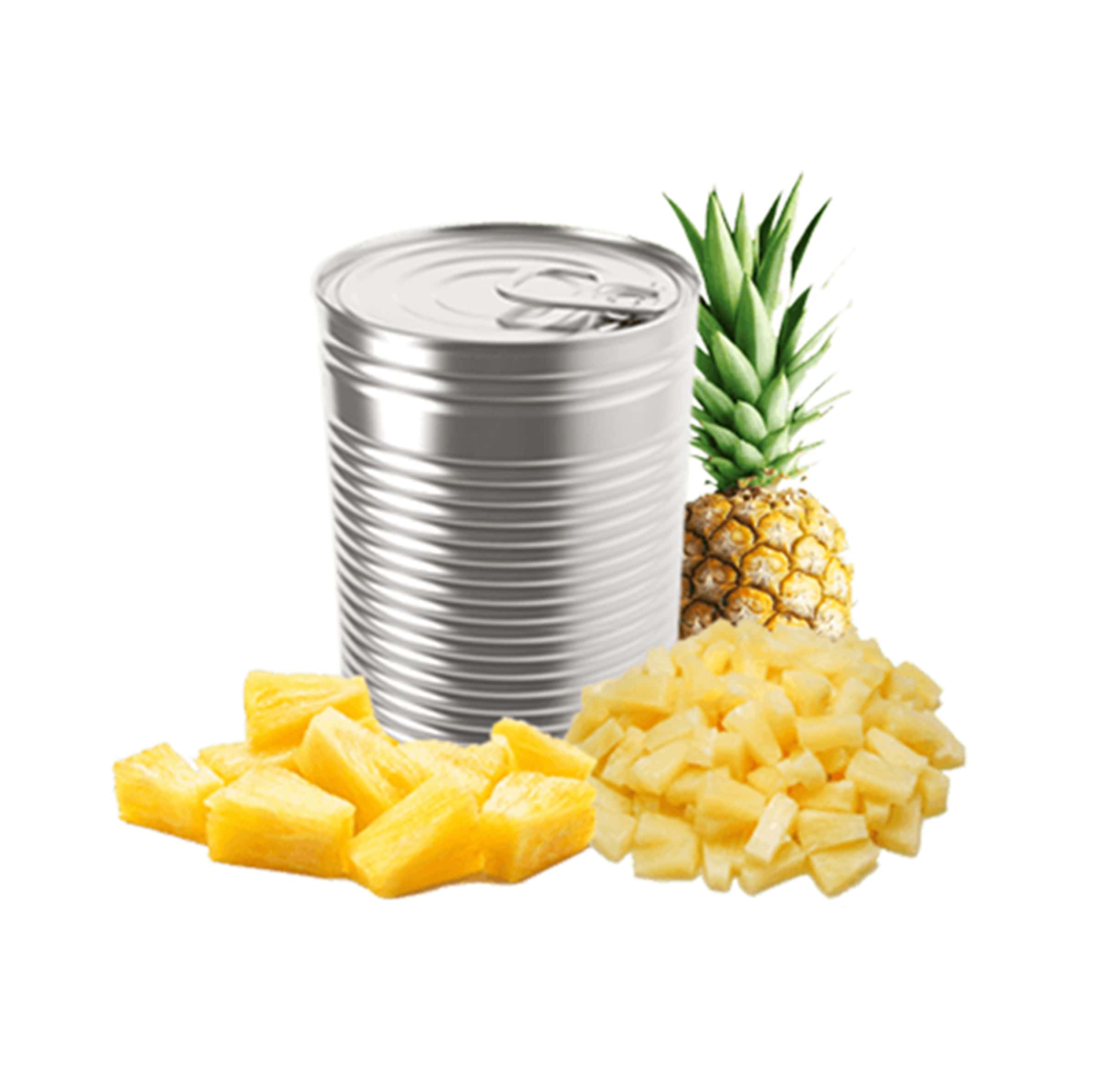 pineapple-slice