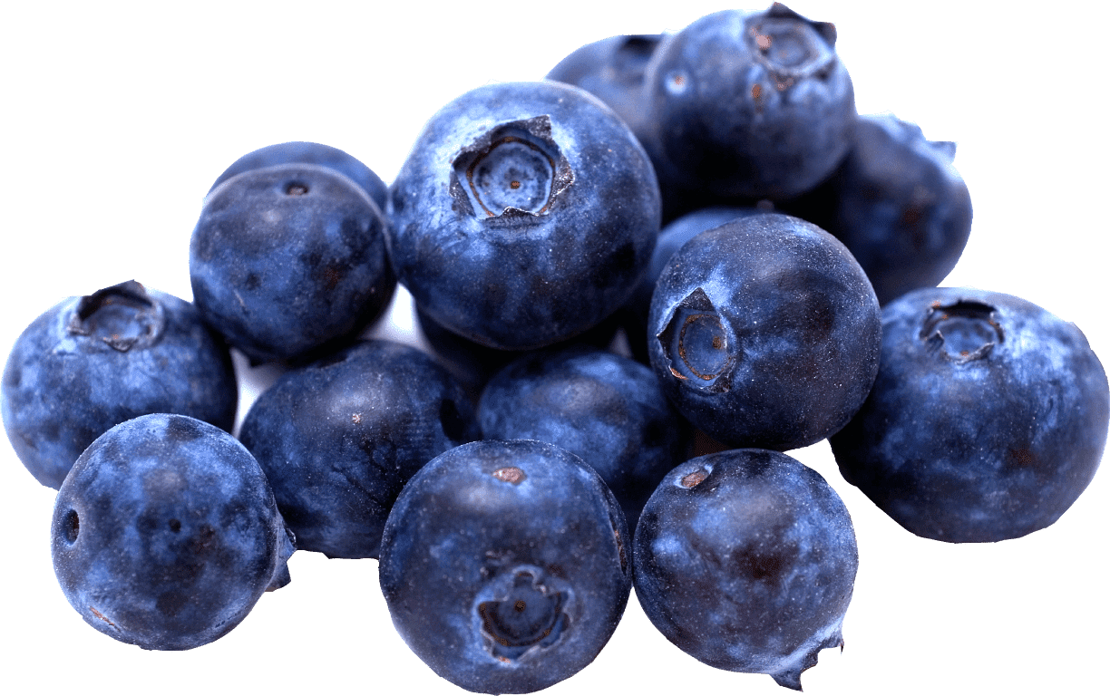 fresh-blueberry