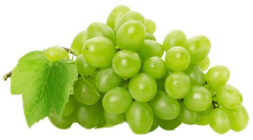 fresh-grapes