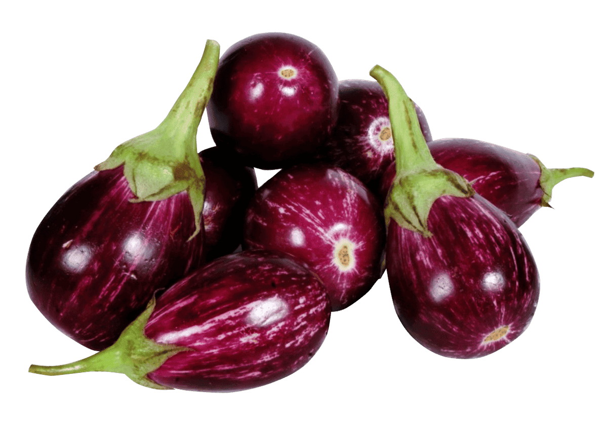 fresh-brinjal