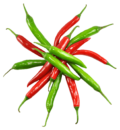 fresh-chilli