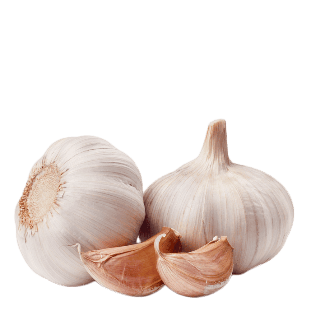 fresh-garlic